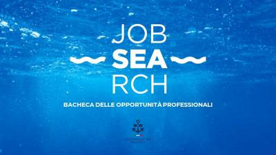 Confindustria Nautica lancia Jobsearch, la piattaforma per trovare lavoro nella filiera nautica